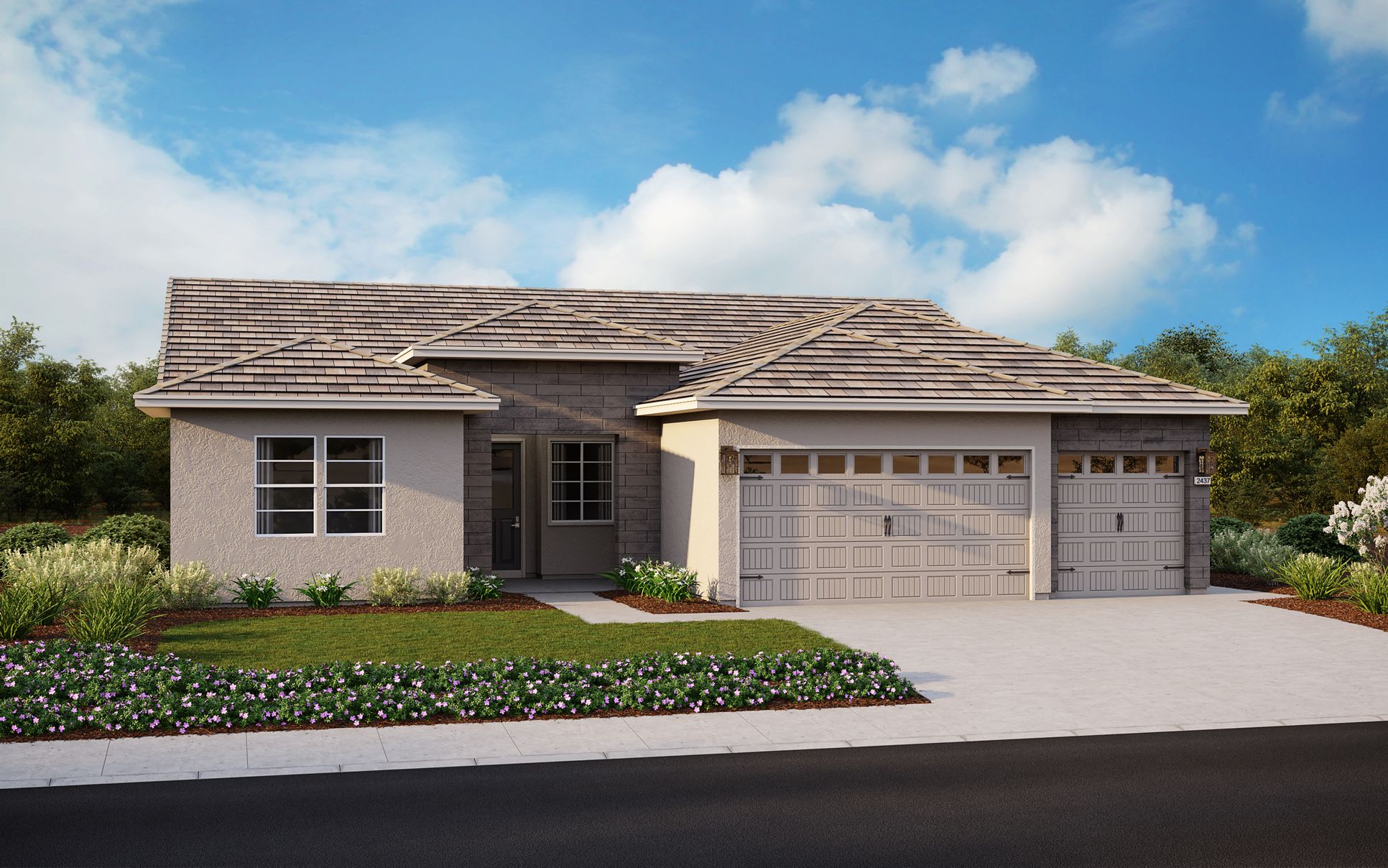 Exterior:Elevation B