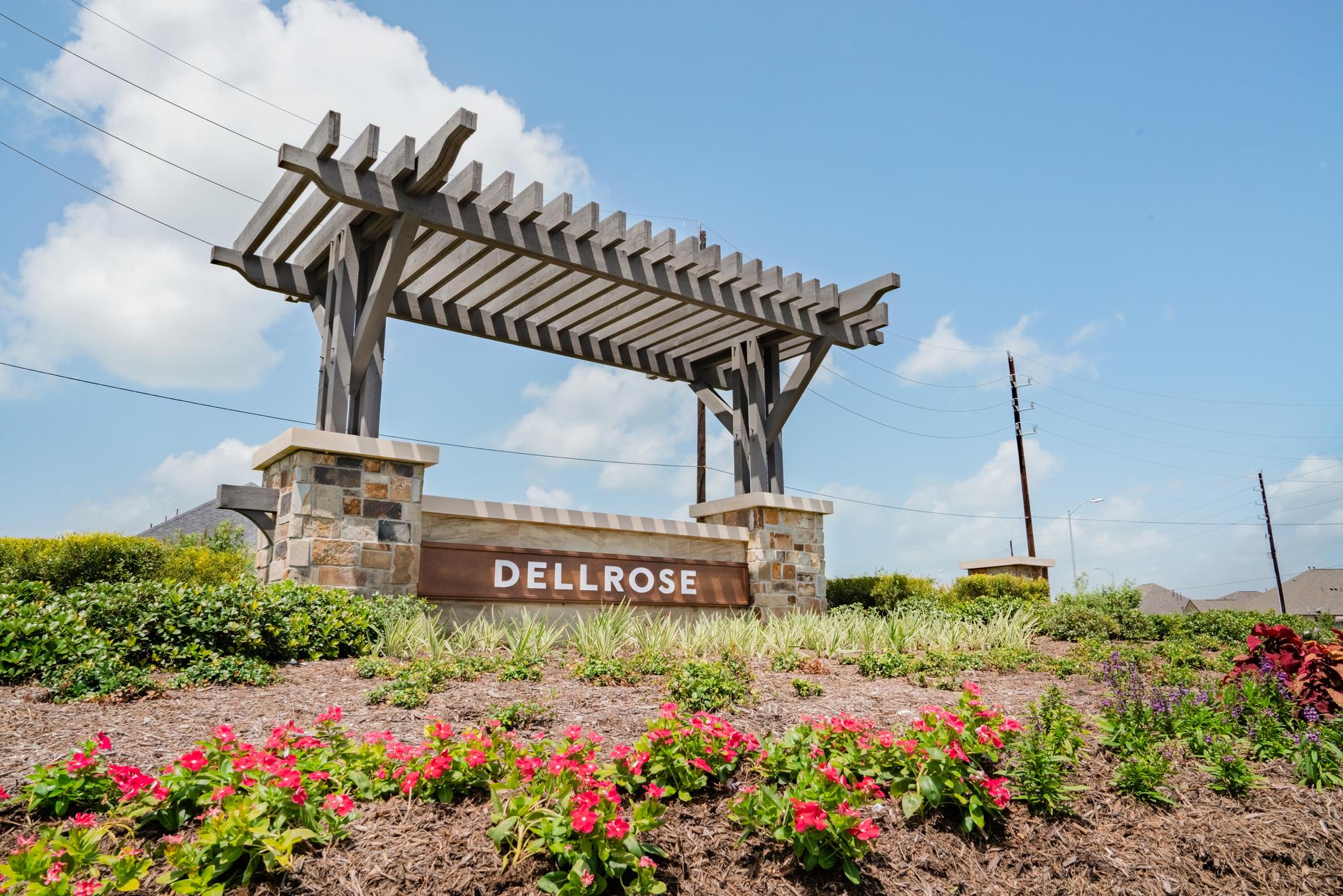 Dellrose,77447