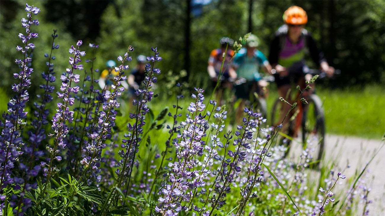 Cedar Estates - Biking Trail -Lifestyle (4062)