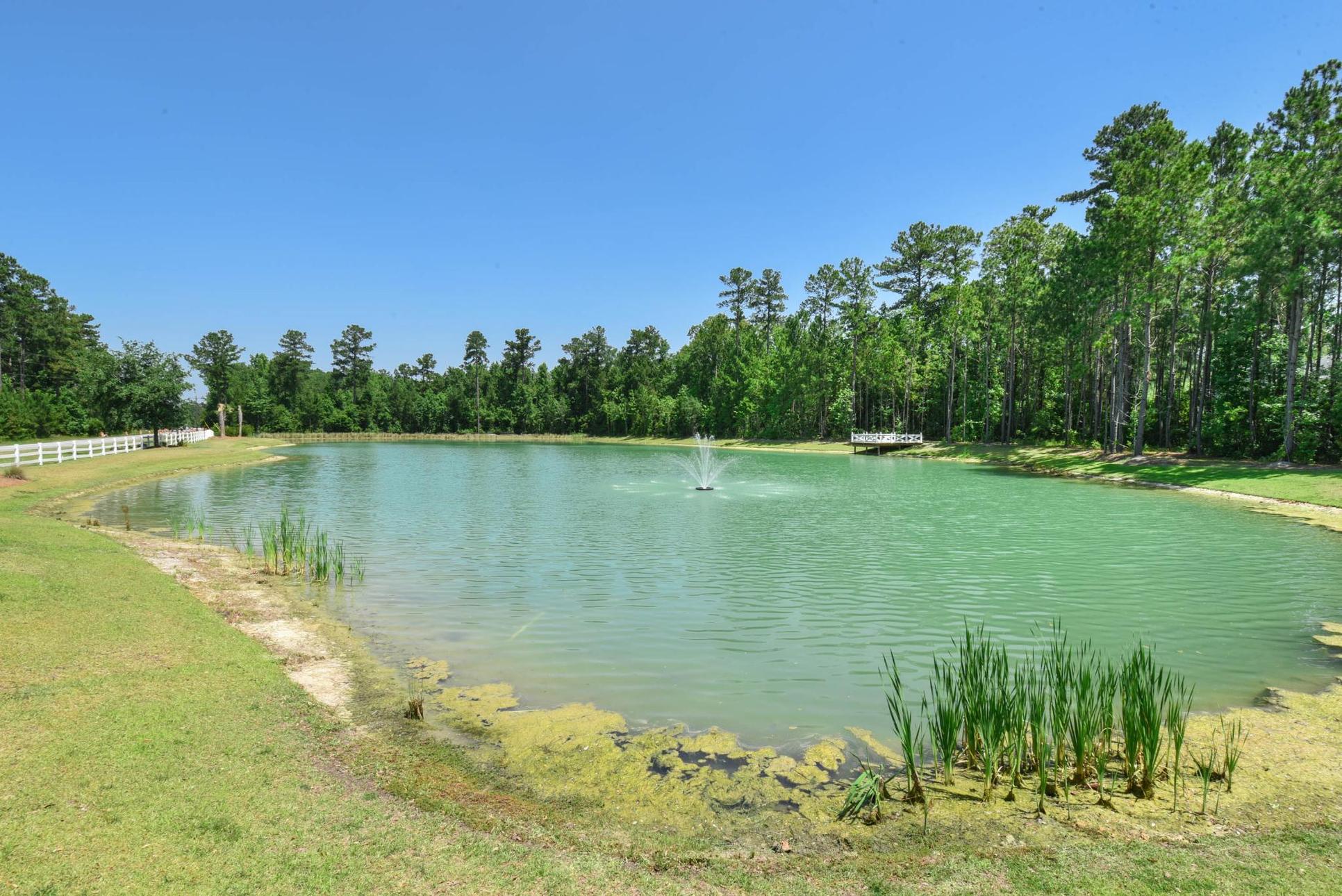 Pond:Dunham Marsh