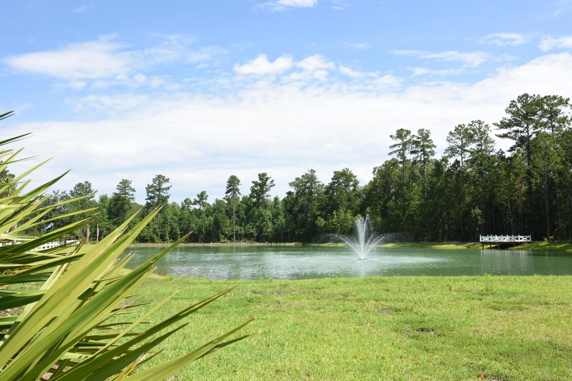 Pond with fountain and wooded backdrop at Dunham Marsh in Richmond Hill, GA:Pond at Dunham Marsh