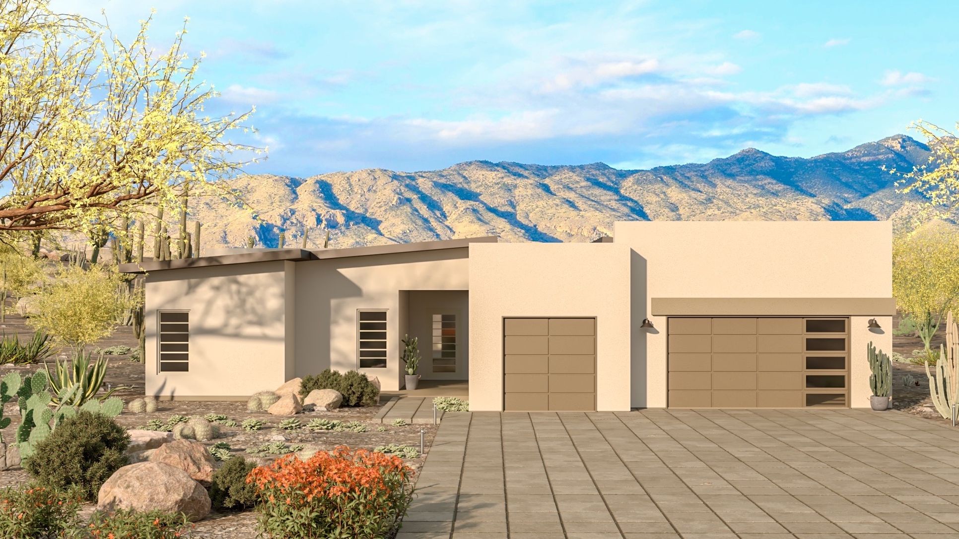 Desert Contemporary Sycamore