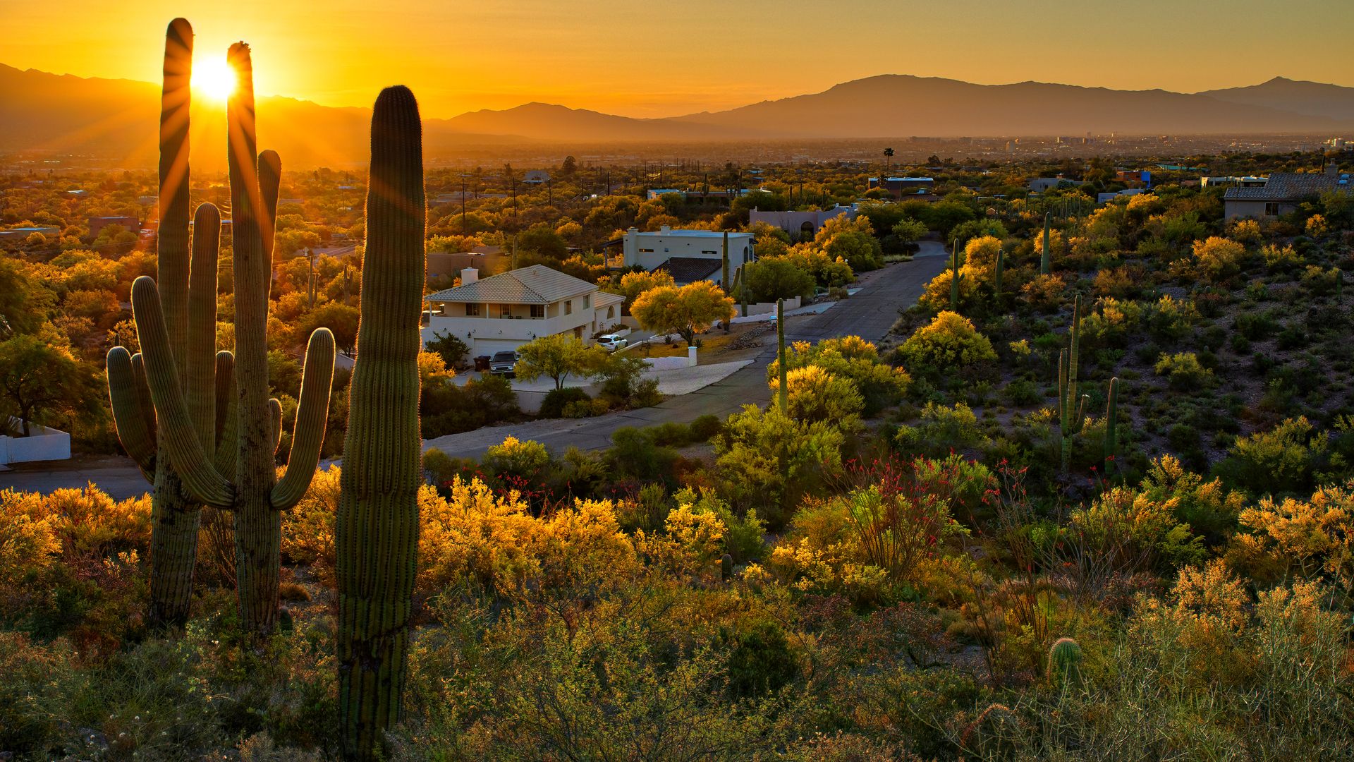 The Hills at Tucson National