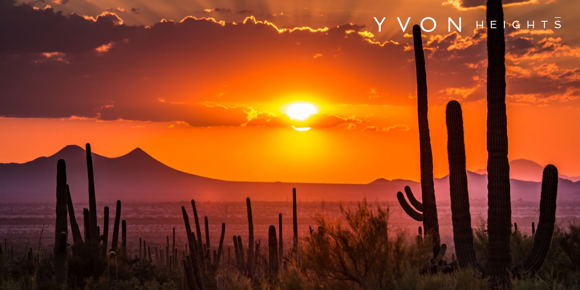 Yvon Header