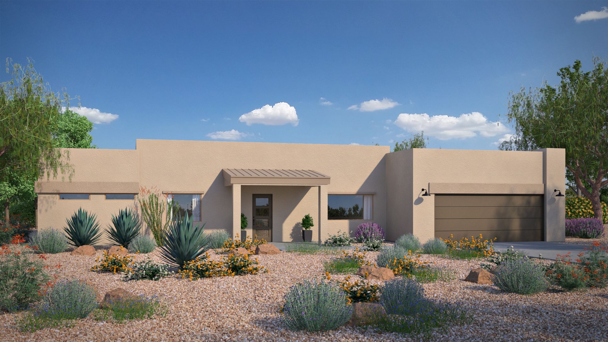 Cholla - Desert Modern