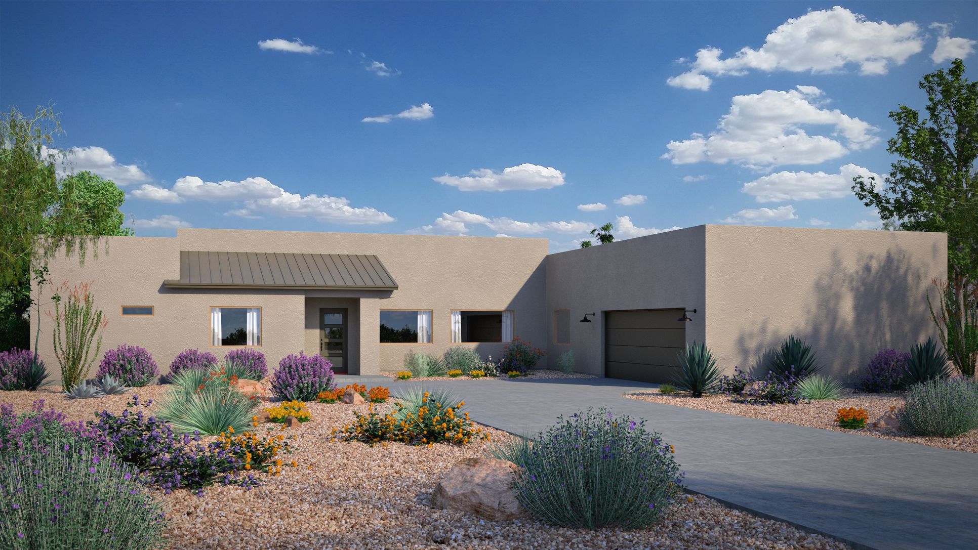saguaro - Desert Modern