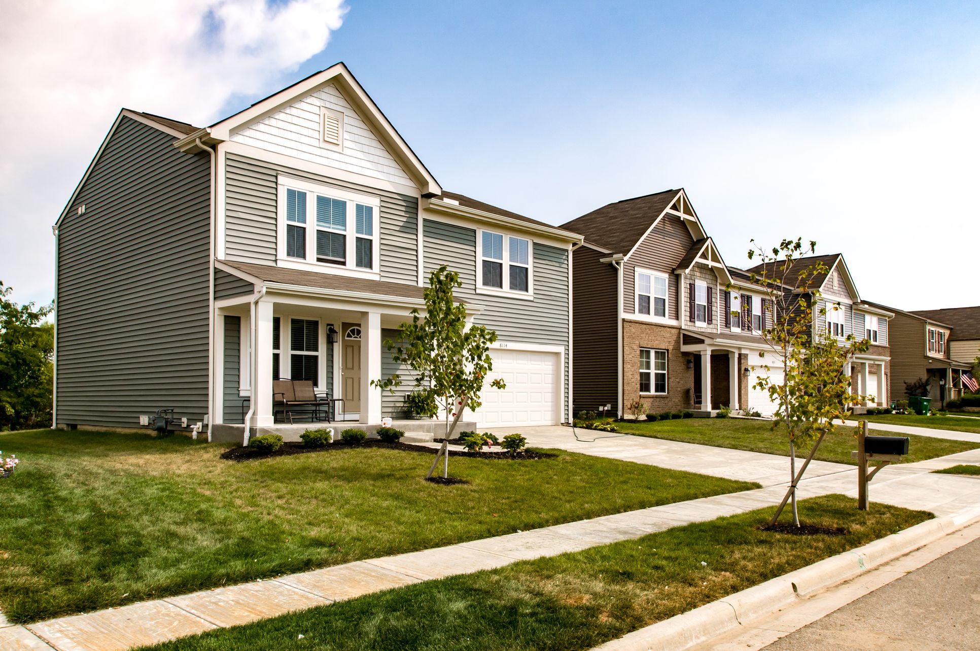 rle_community_royal-elm__dsc6246