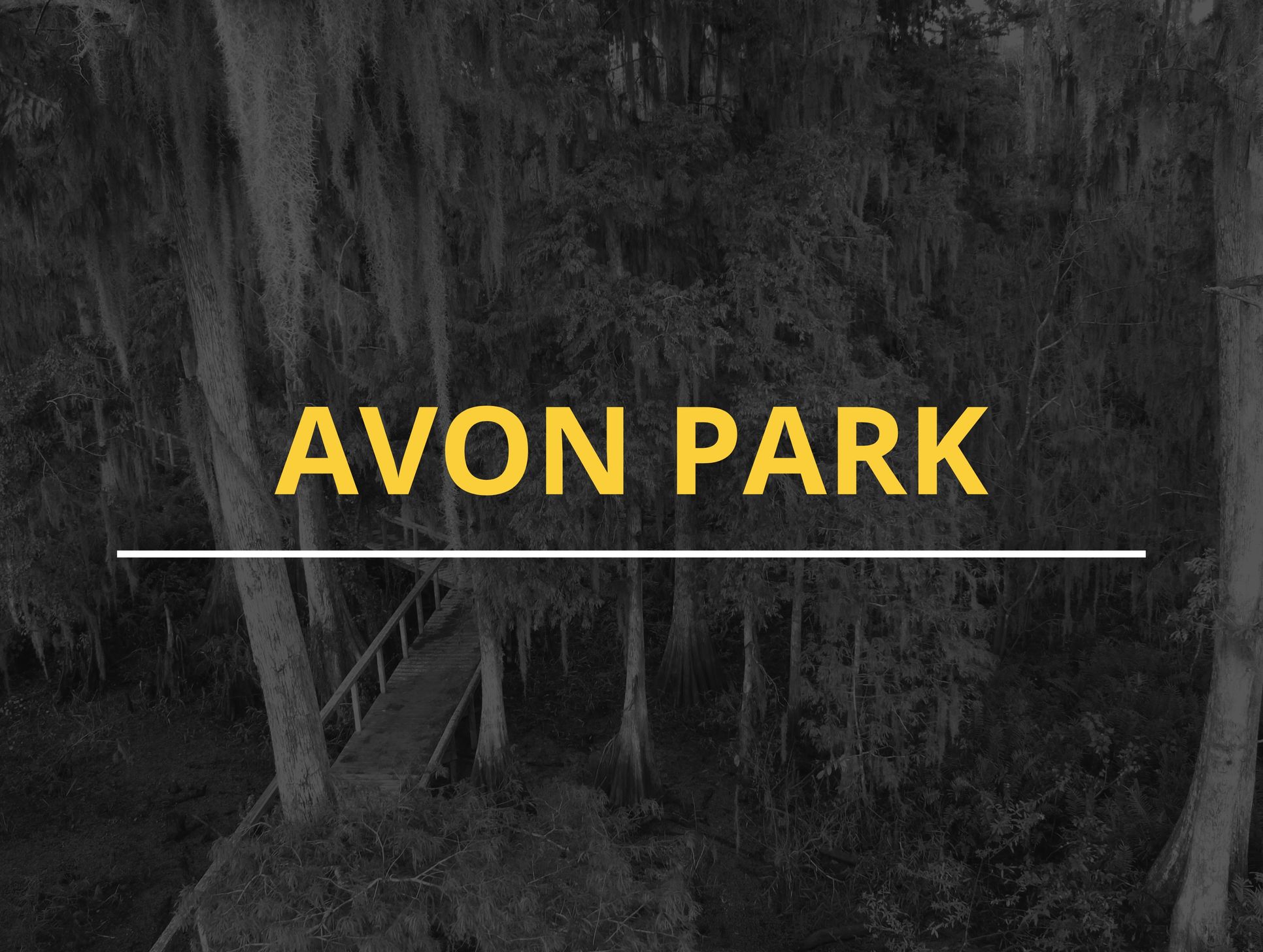 Avon Park,33825