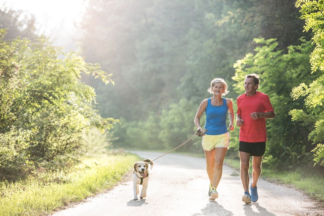 Two people out for a jog with their dog:Two people out for a jog with their dog