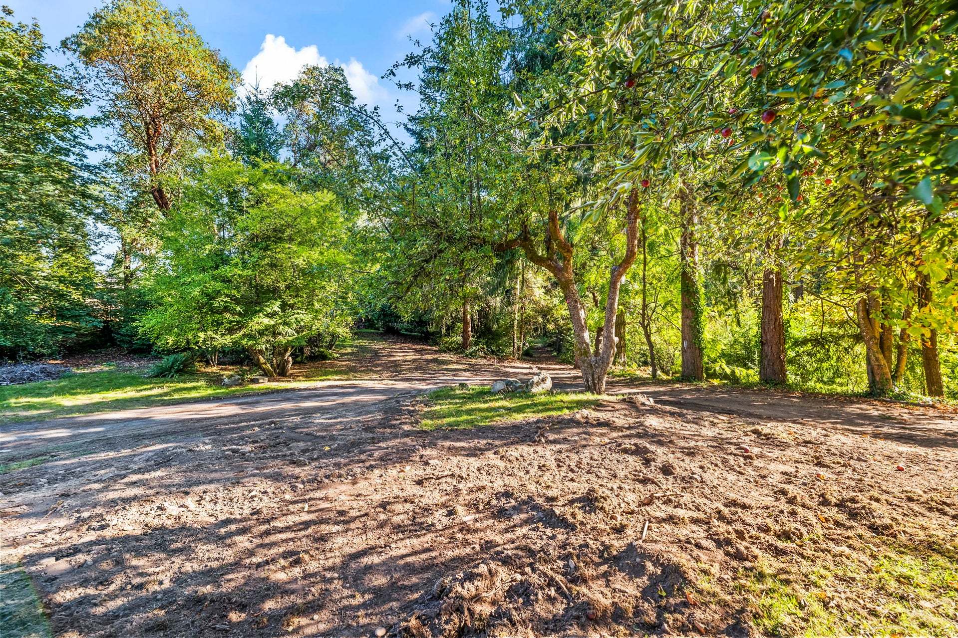 Sunset Grove,98466