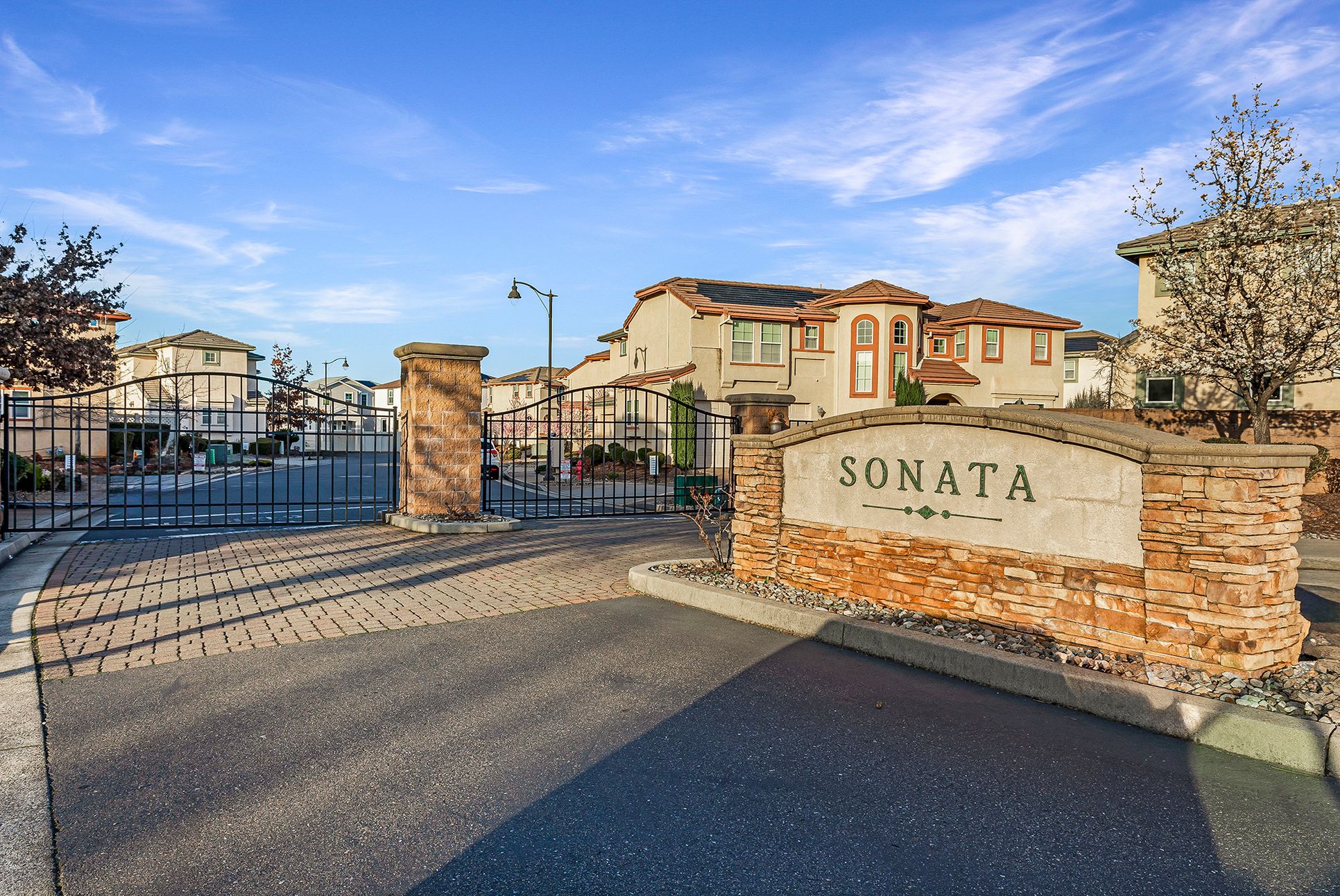 Sonata,96003