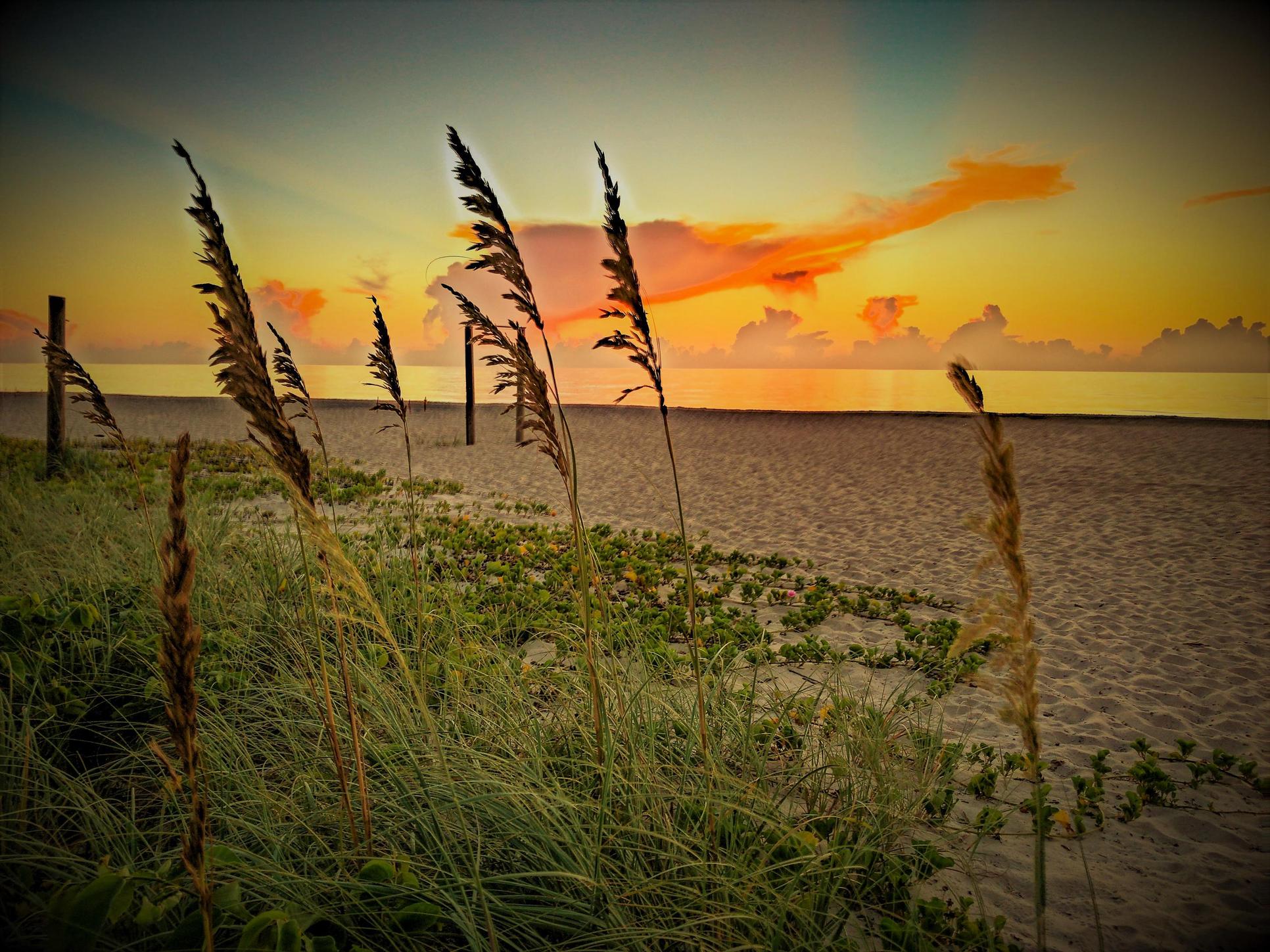 Beaches | Vero Beach:Beaches | Vero Beach