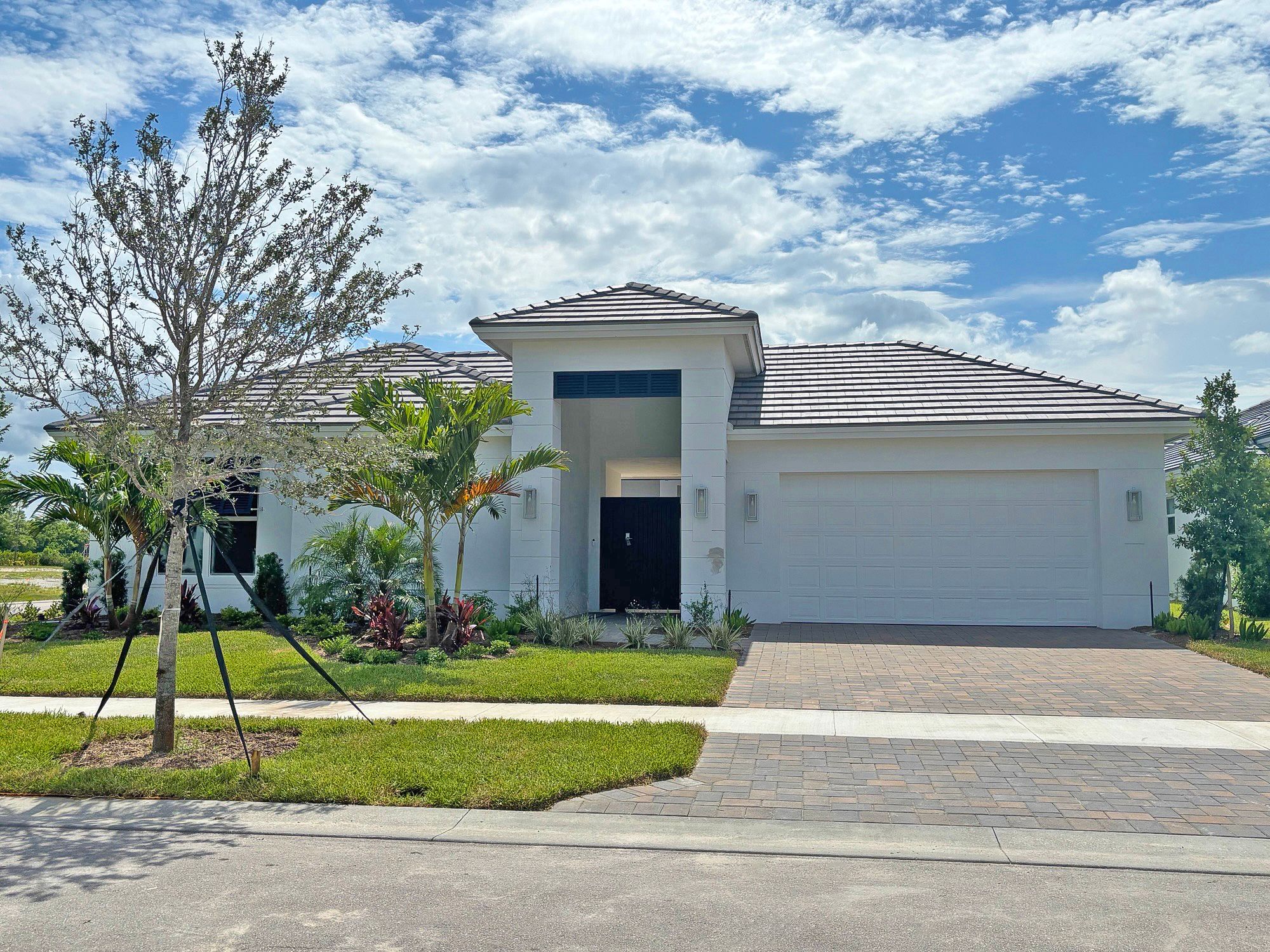 Front Elevation | Argus Model:Front Elevation | Argus Model