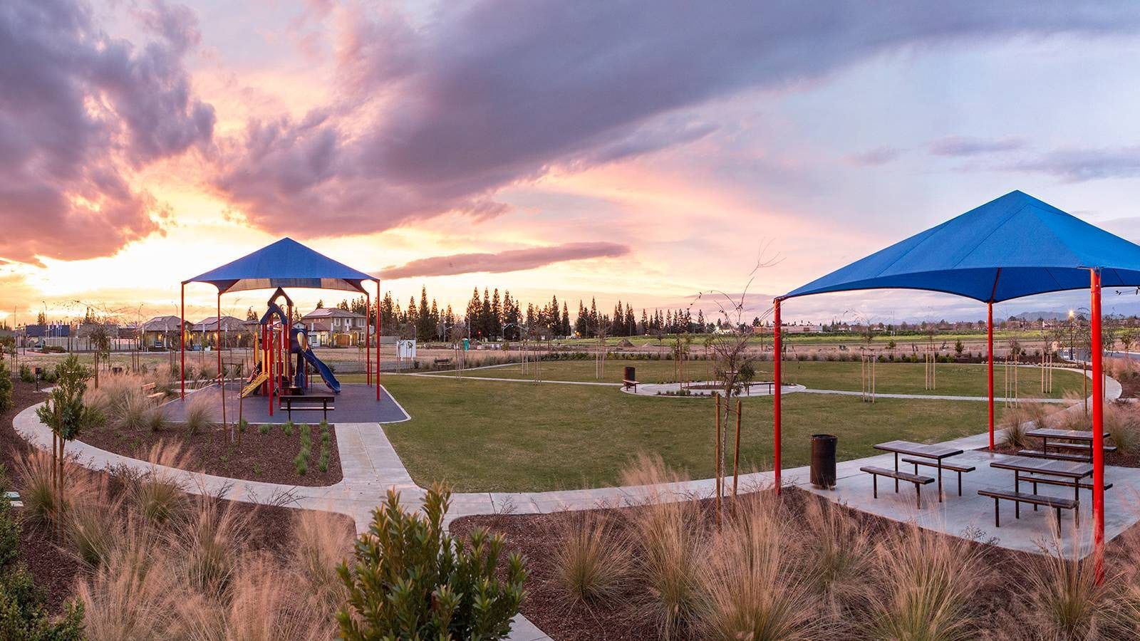 Belterra:Community Image