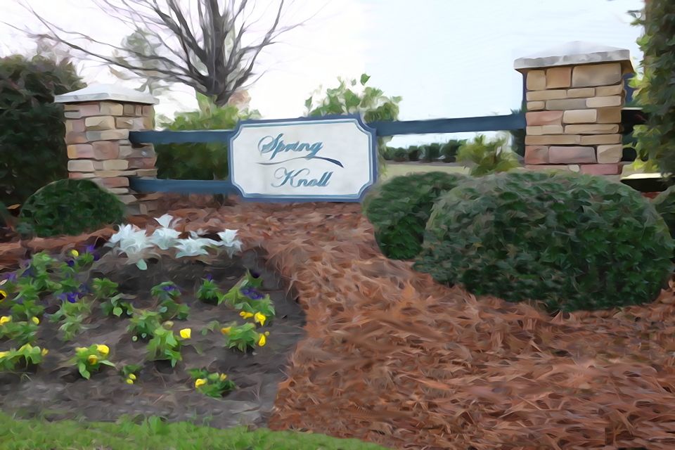 Spring Knoll