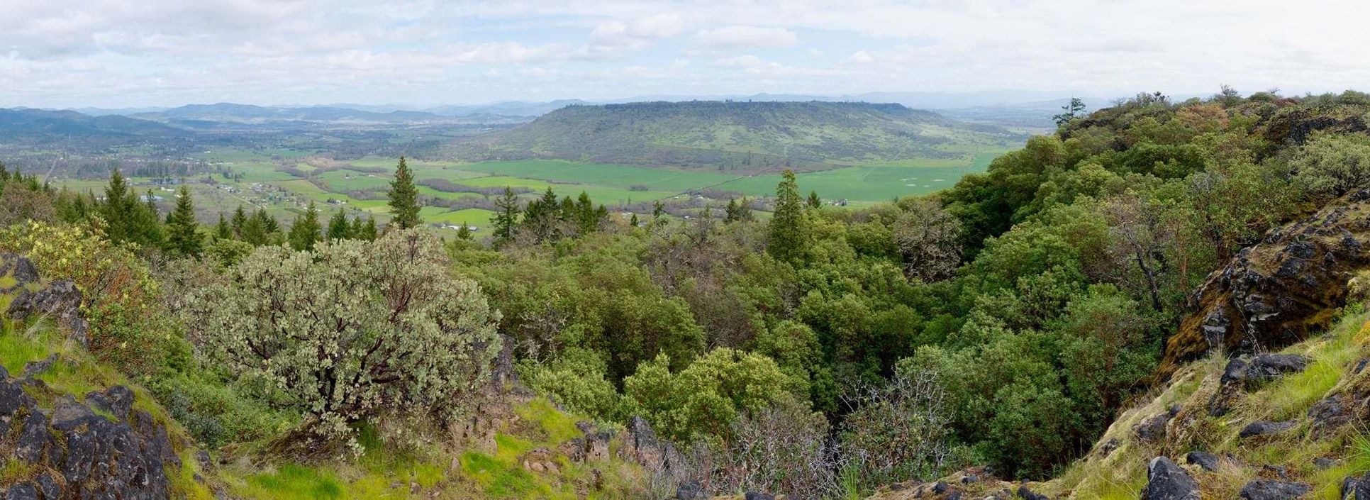 Ponderosa Place,97504