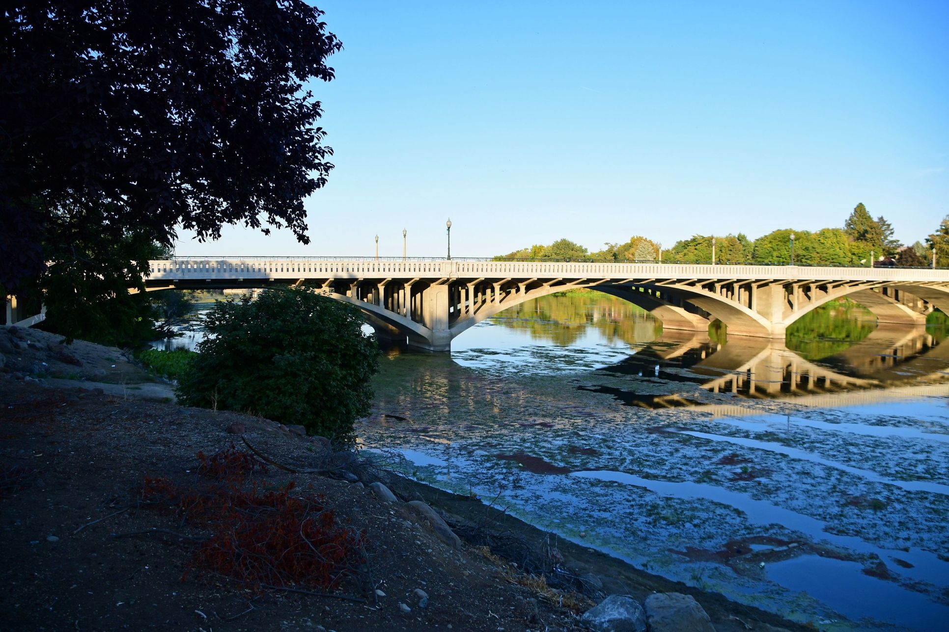 Merlot Meadows,99350