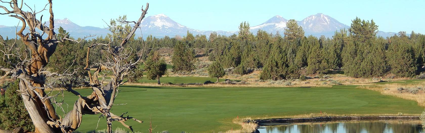 Village at Ridgeview