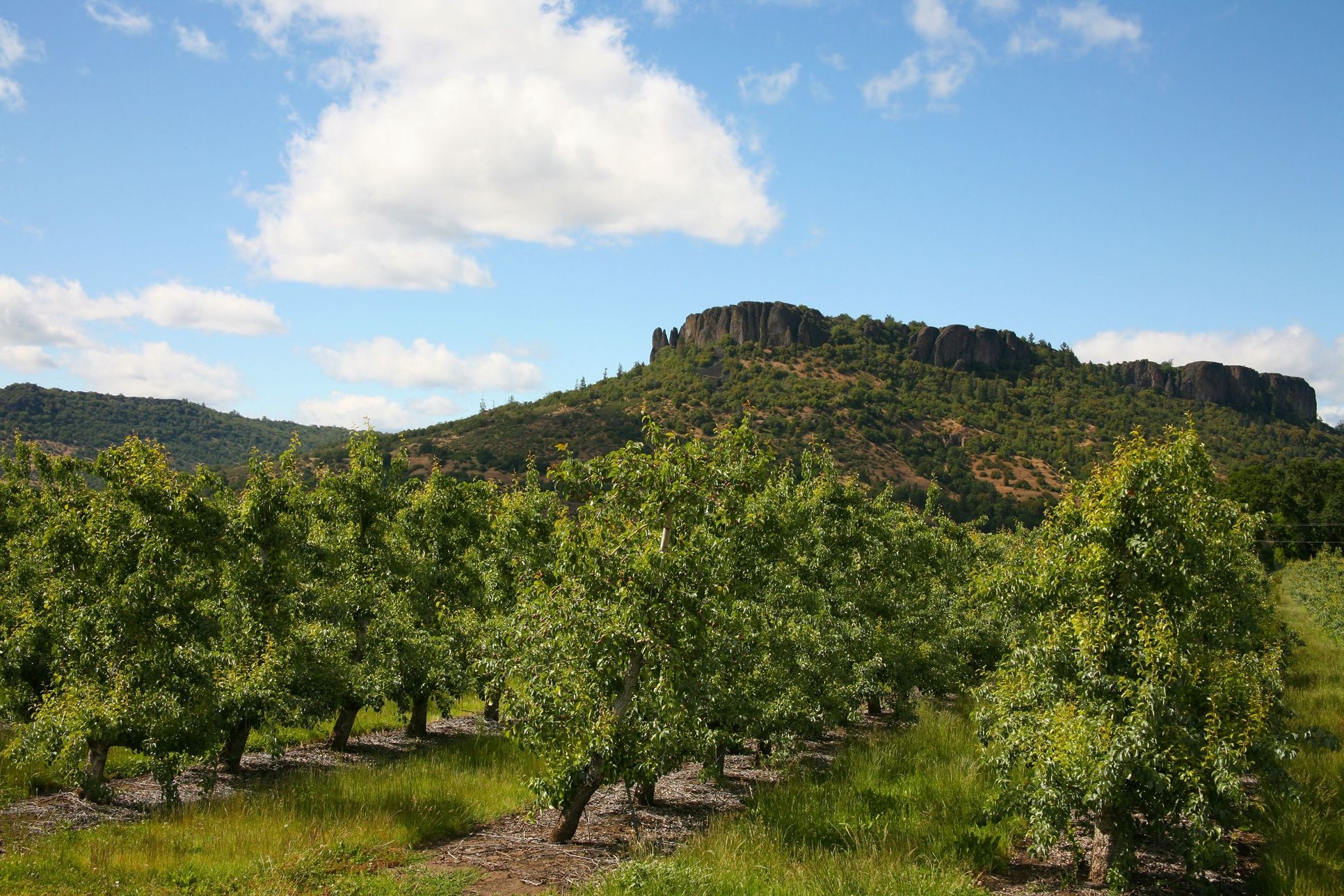 Springbrook Community - Medford