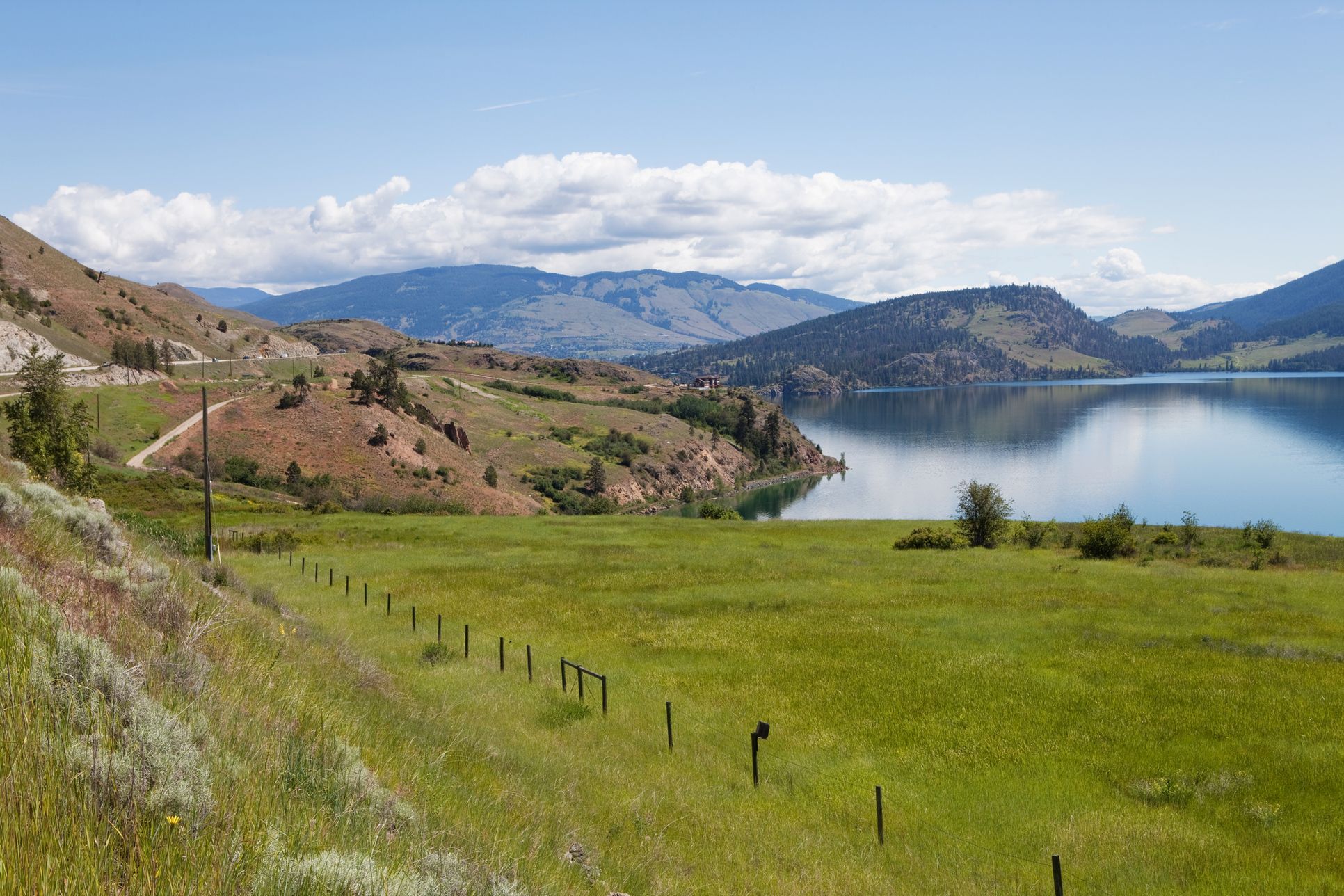 Kenyon Meadows