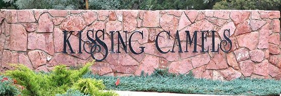 Kissing Camels,80906