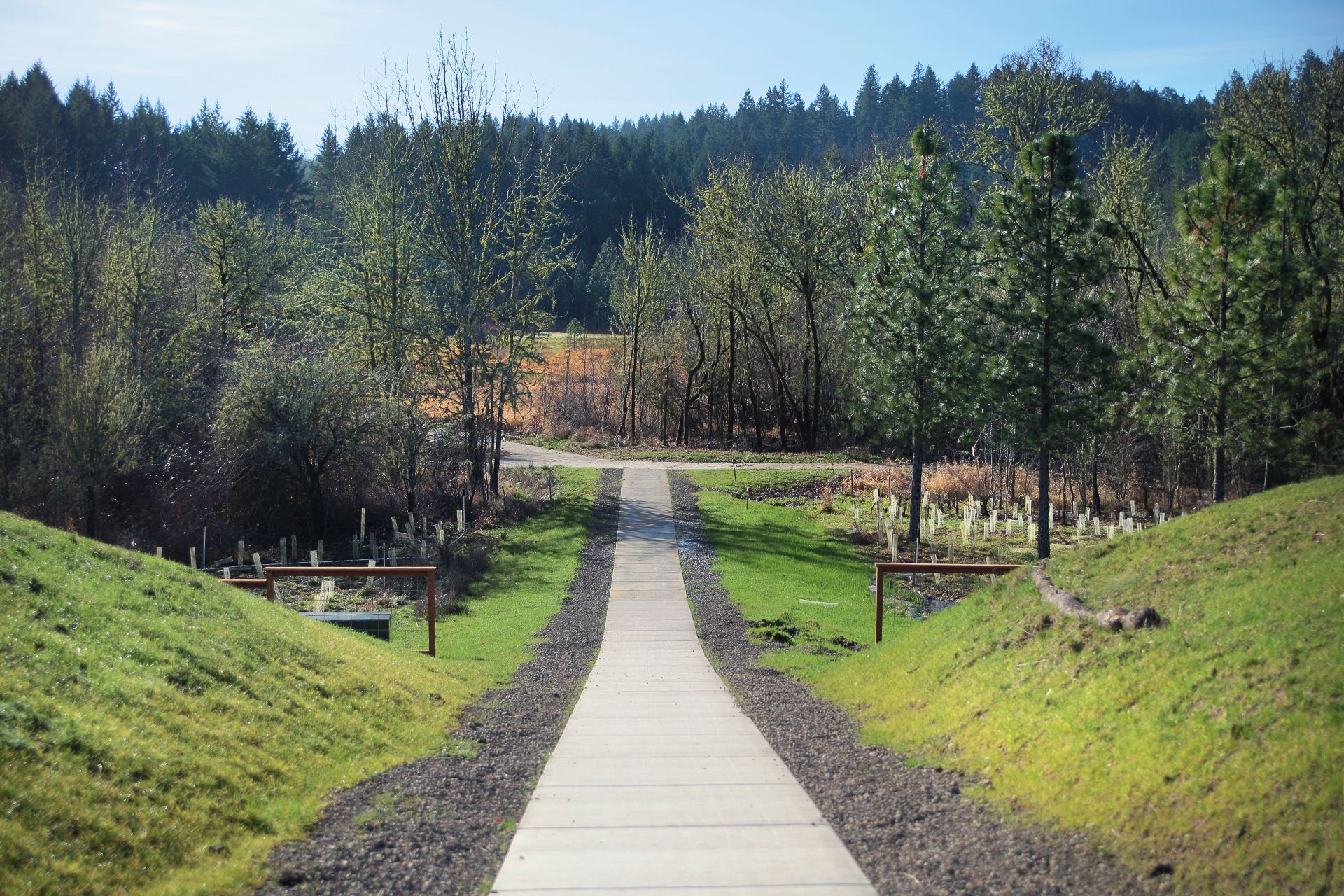 Ponderosa Ridge_04