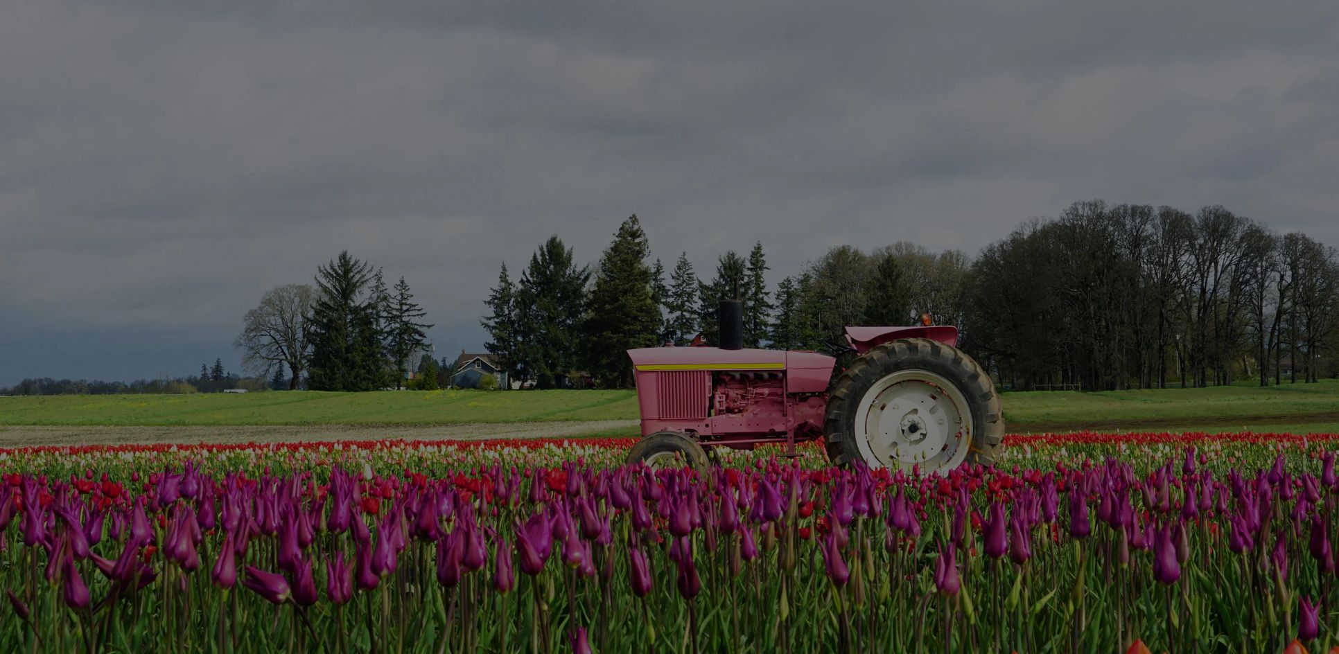 Marion Pointe:Community Image