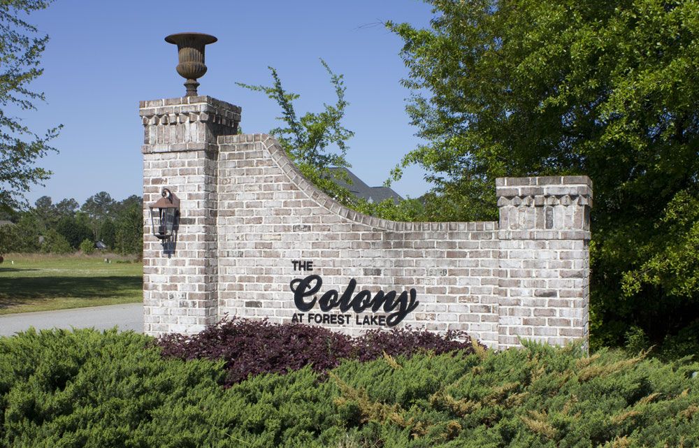 The Colony at Forest Lake,29501