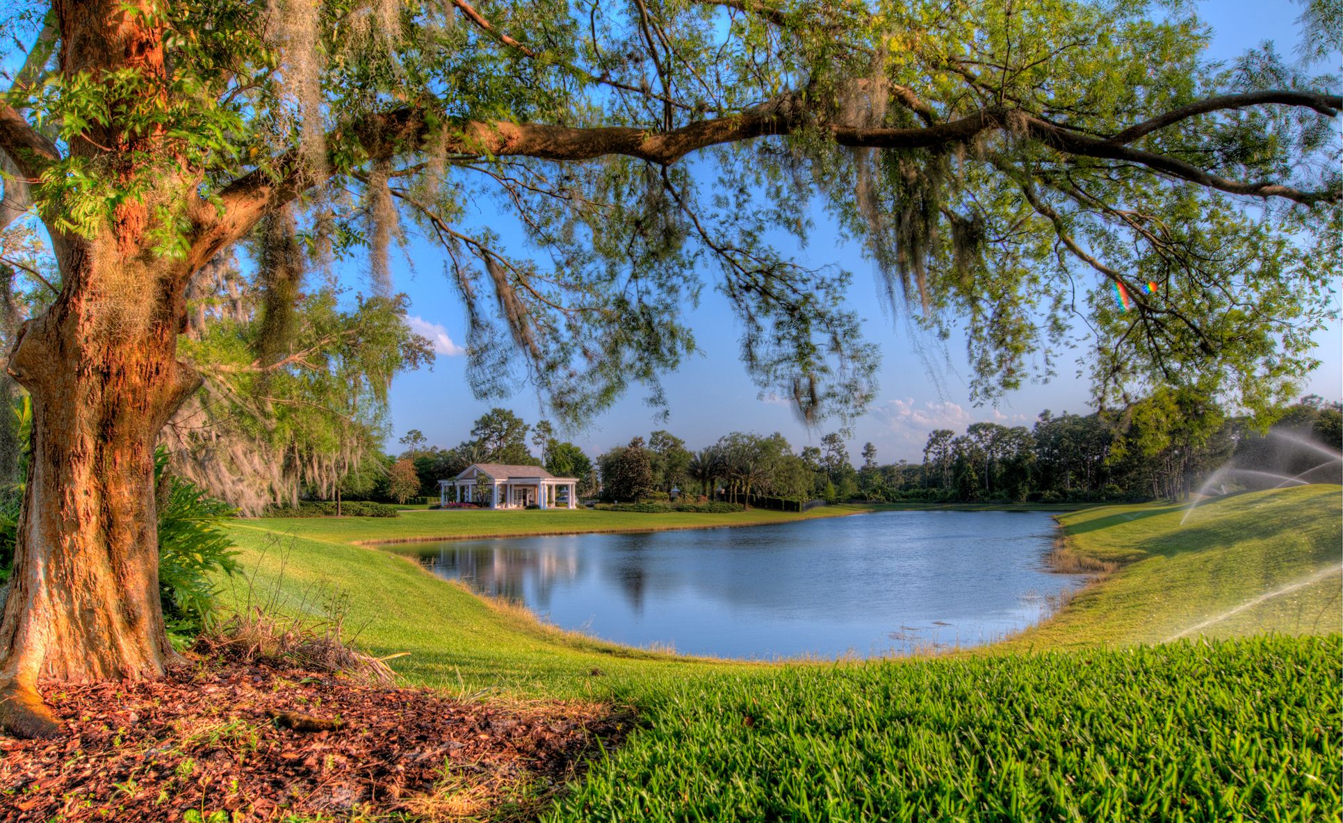Live Oak Estates Scenic Lake View