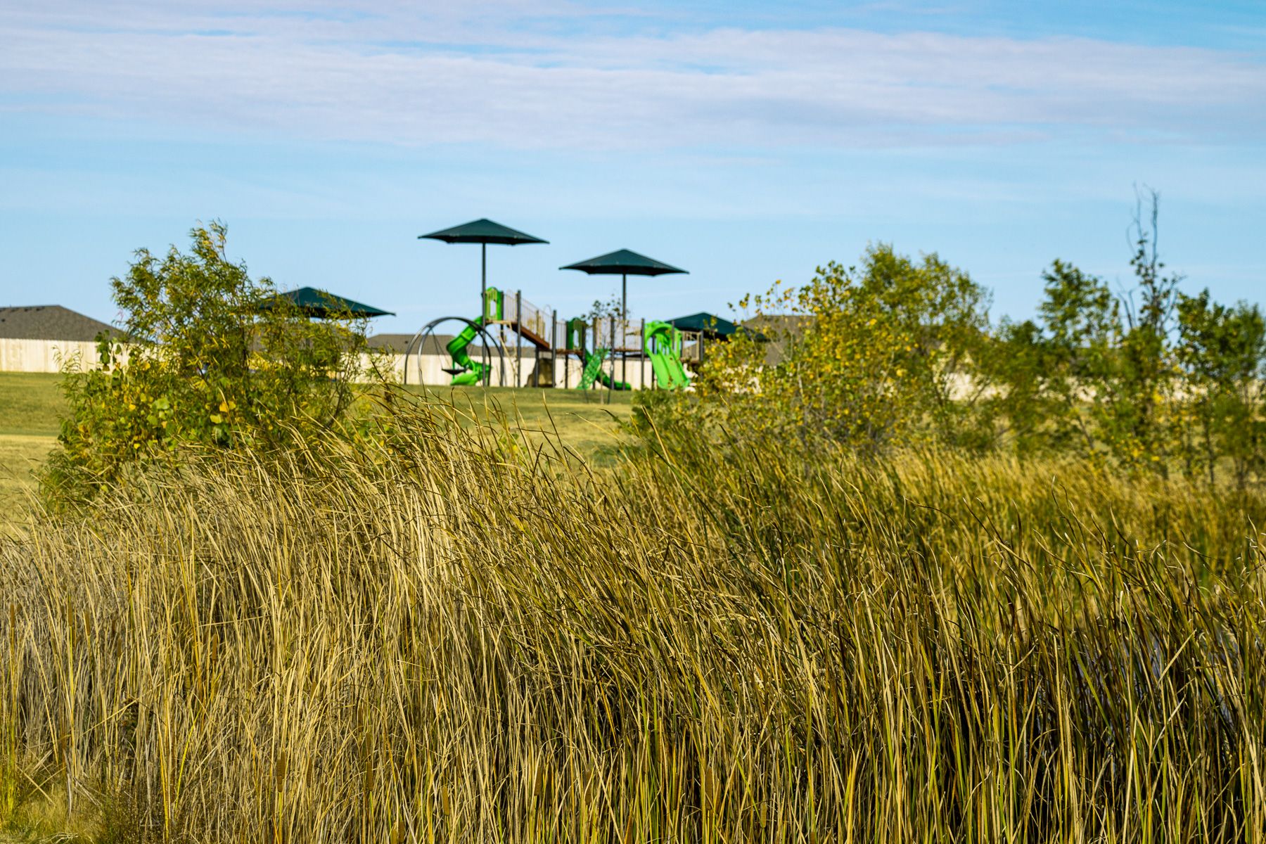 Playground in new community in Stillwater, OK:Playground and Walking Trails