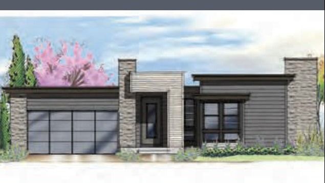 Exterior:Timberline Modern