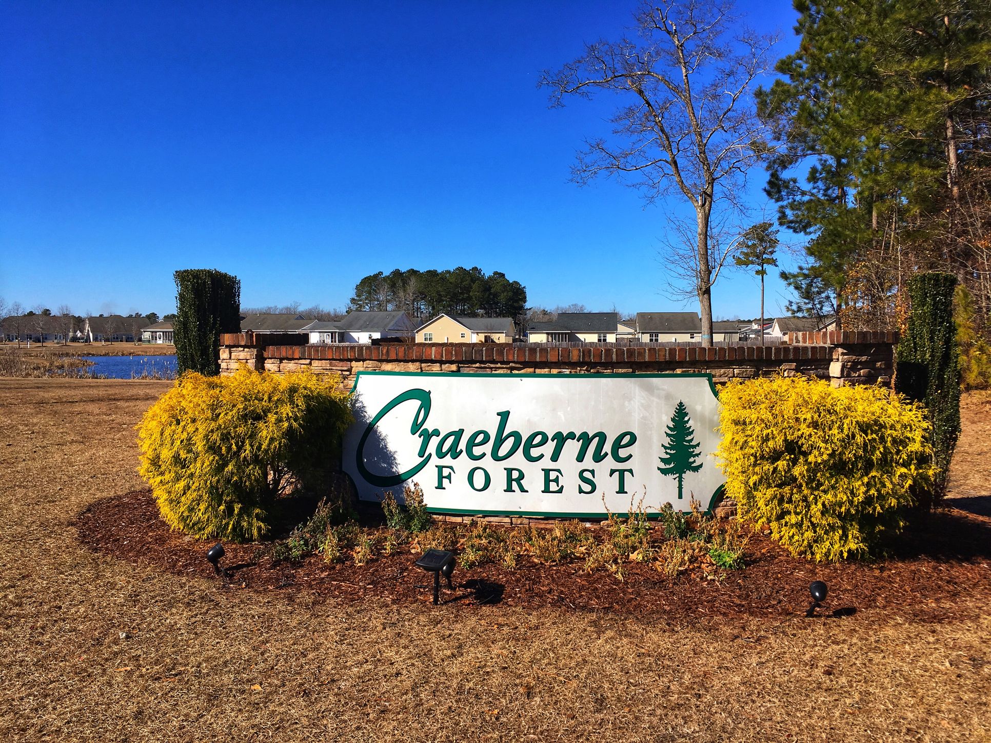 Craeberne Forest