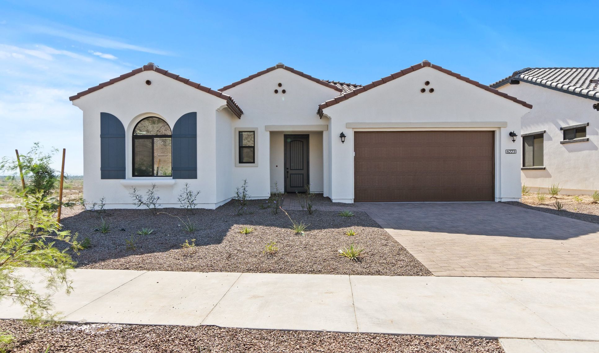 Exterior:Cactus Wren D