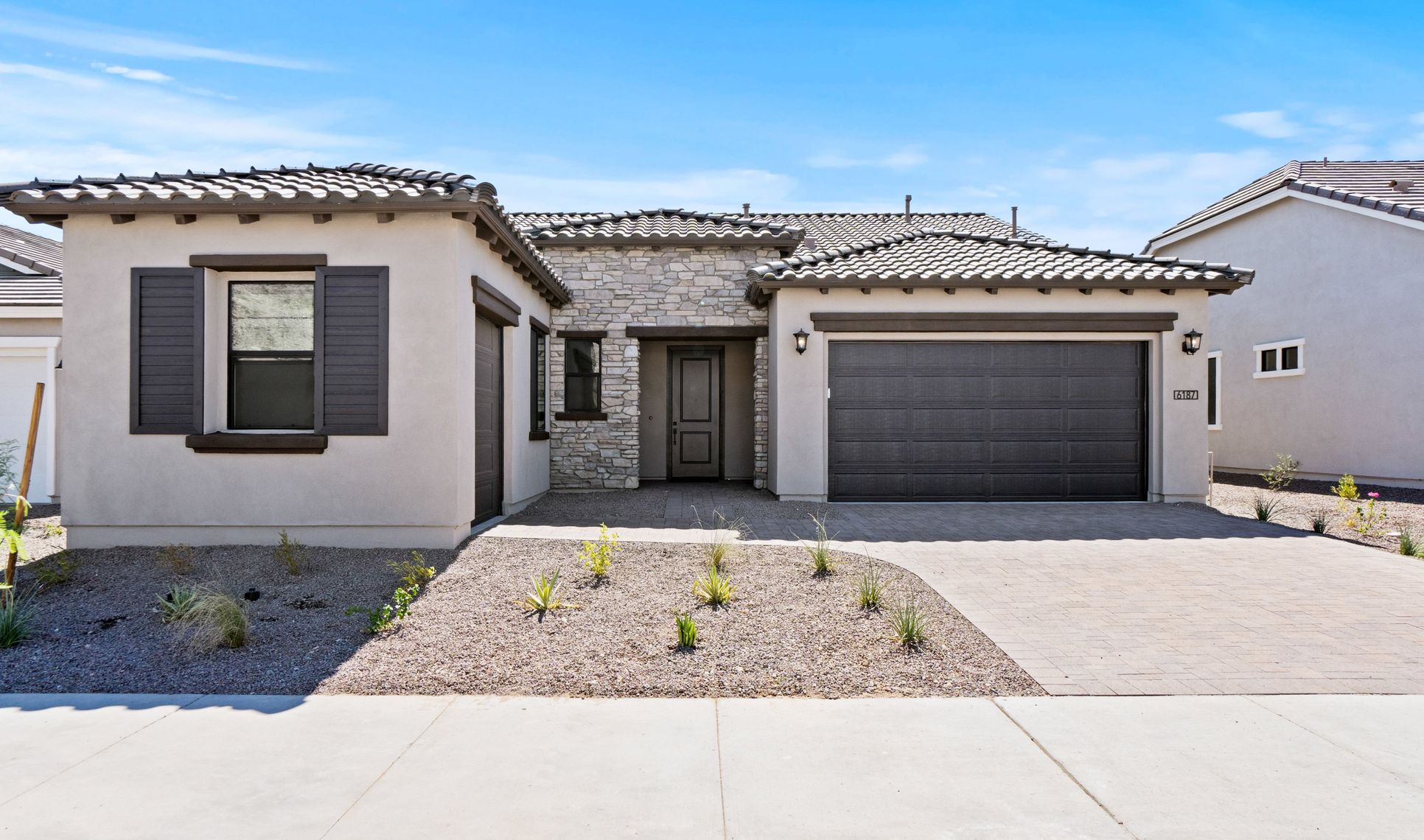 Exterior:Cactus Wren F