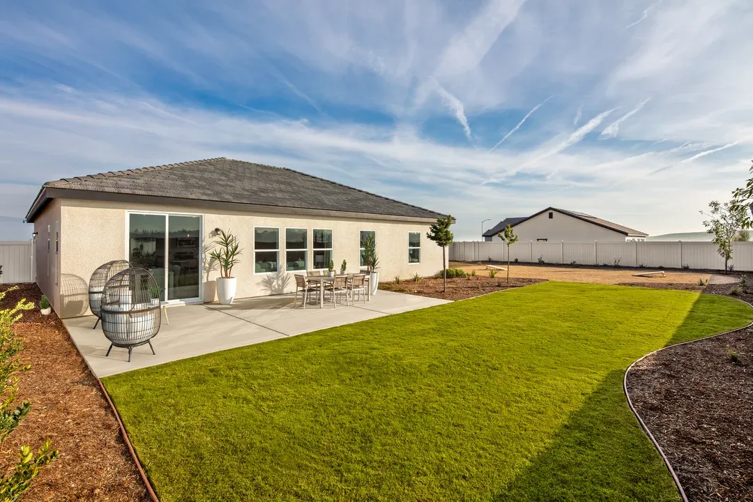 Exterior:Backyard