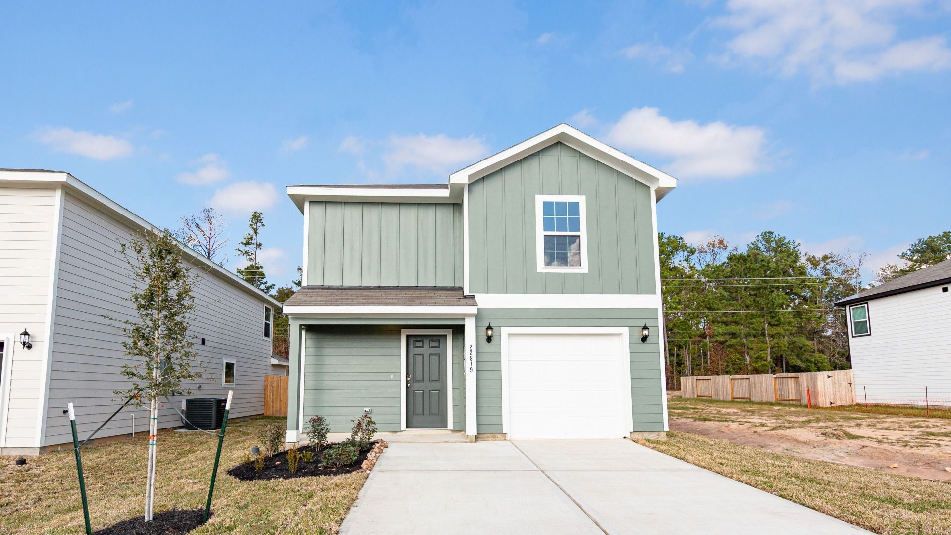 _22819 American Kestrel-1 - Copy.jpg:Elevation M