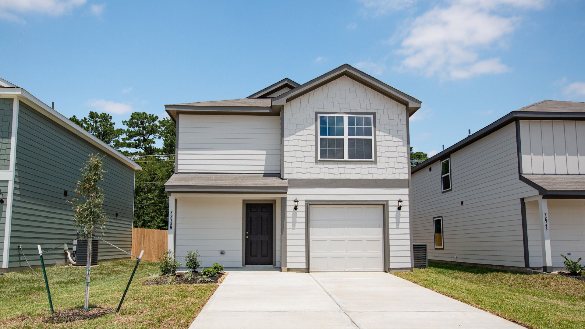 _22739 American Kestrel-1 - Copy.jpg:Elevation N
