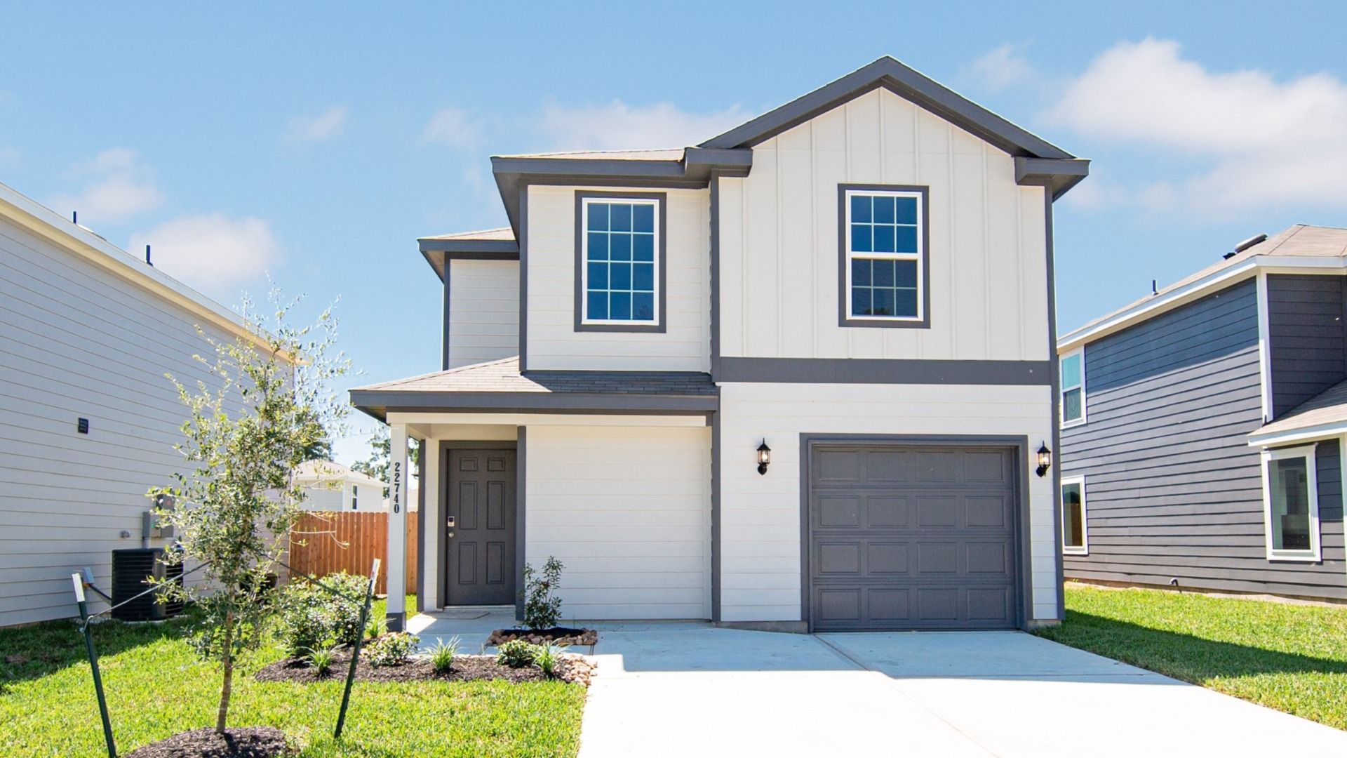 _22740 American Kesrel-1 - Copy.jpg:Elevation M