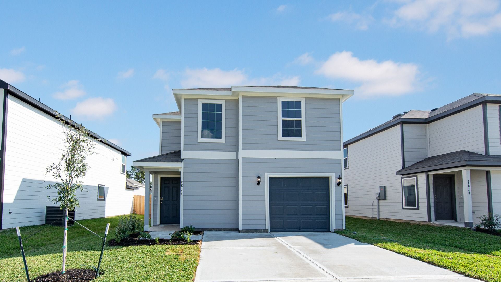 _22744 American Kestrel-1 - Copy.jpg:Elevation L