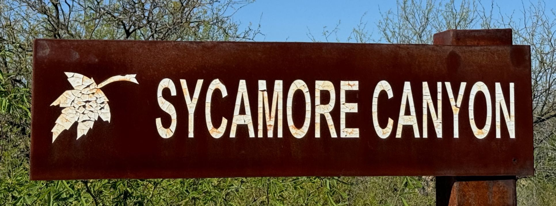 Sycamore canyon