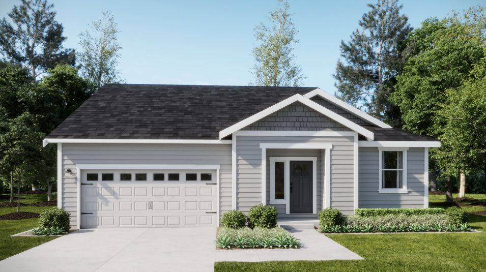 Elevation TR - Traditional home image