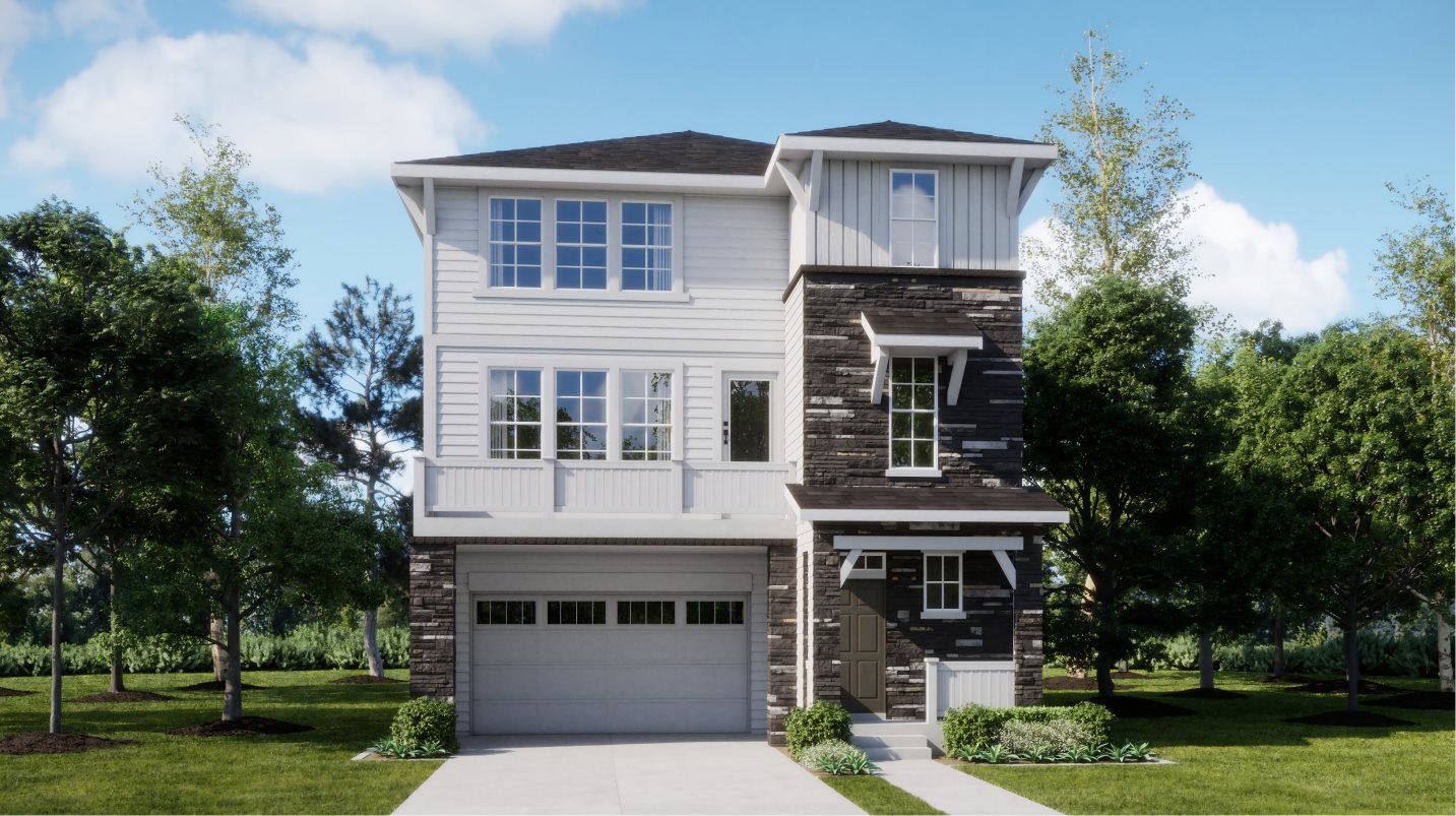 Elevation HC - Forte High Country