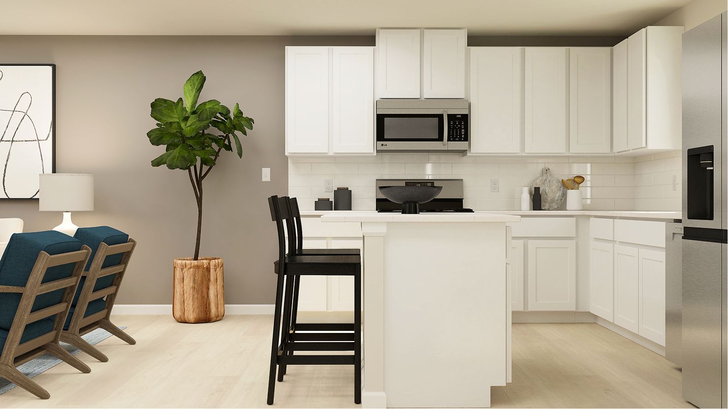 1420 Chestnut Kitchen F1 050925