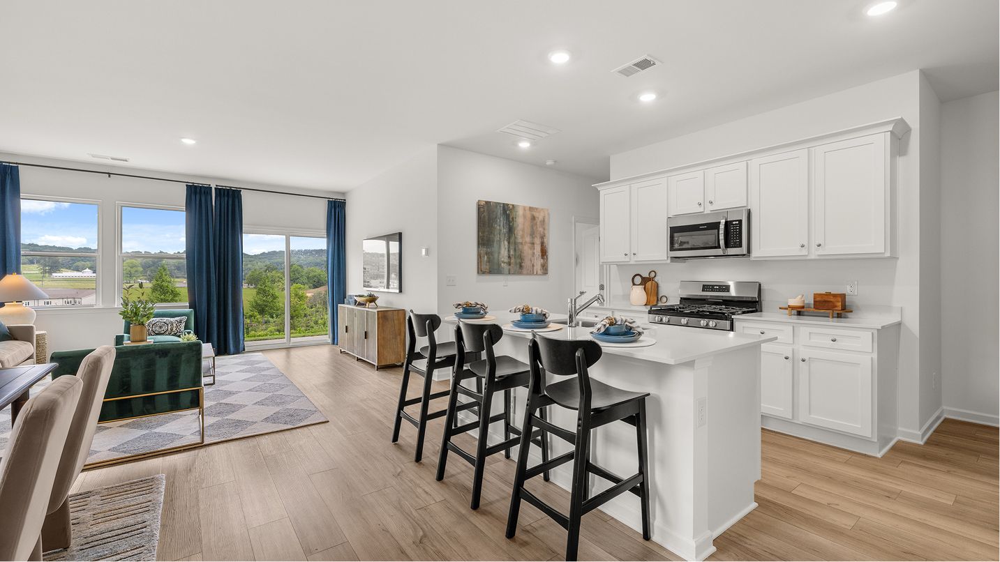 Parker Core L035 Davidson Kitchen 2of4 F1 Base4 06