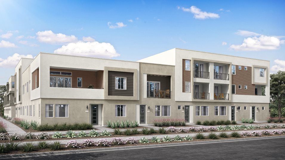 Elevation B - Contemporary - Elevation B