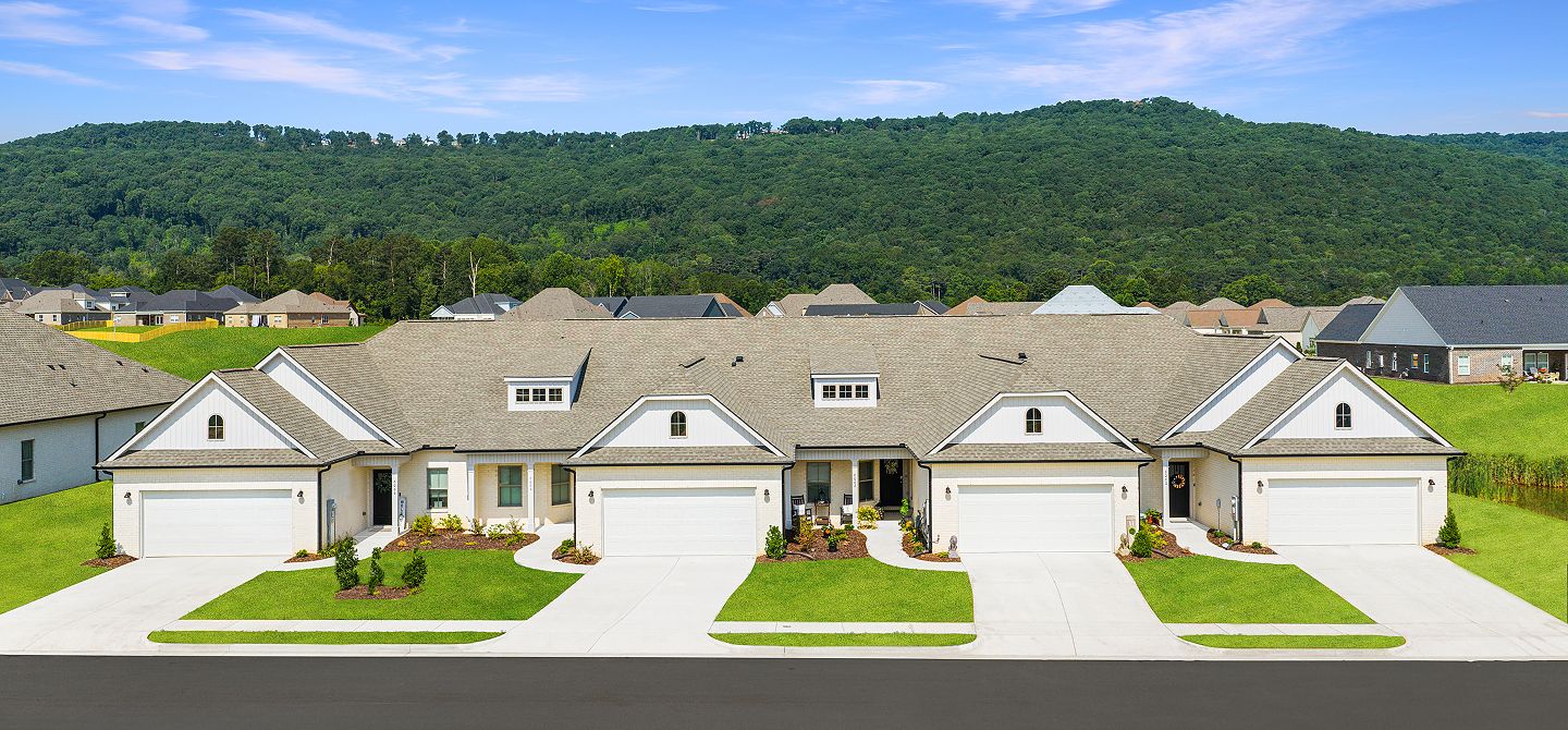 Natures Walk Flint Streetscape 070925