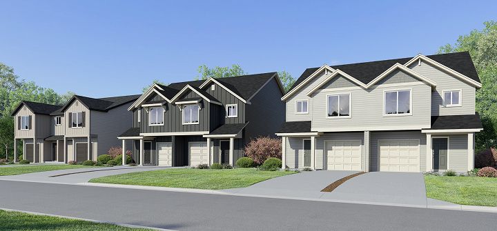 Curry Meadows Streetscape (1)