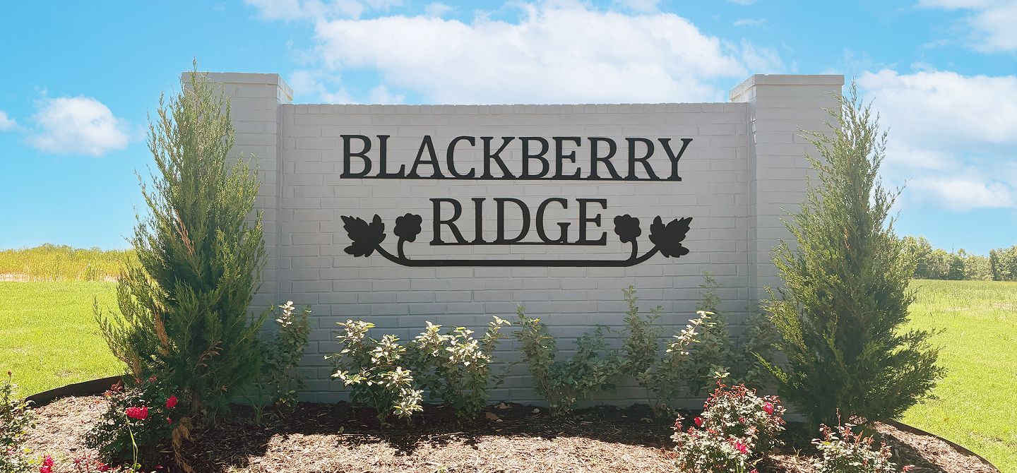 Blackberry Ridge Amenity Monument 5 1 25