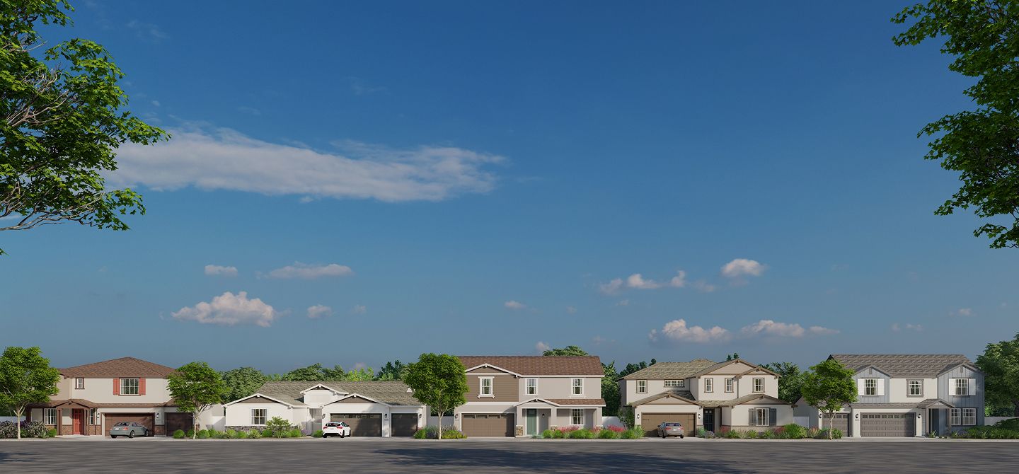 082925 Cedar Glen Summerfield Streetscape