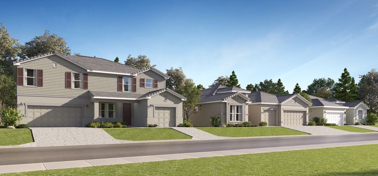 Maple Point Streetscape 5 23 25 (1)